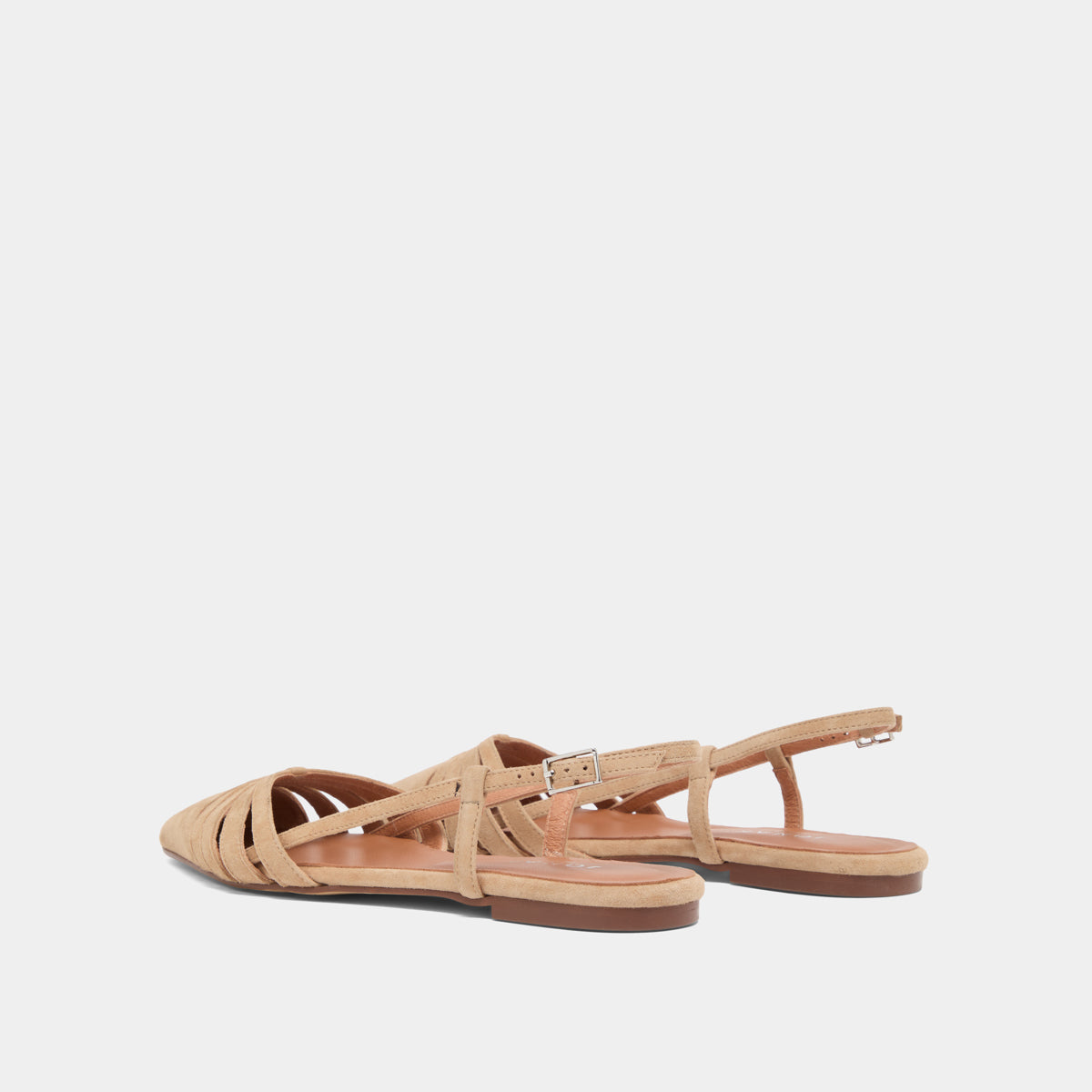 #color_camel